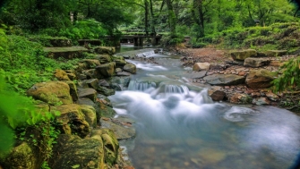讓天更藍(lán)，水更清——浙江扎實做好中央生態(tài)環(huán)保督察整改綜述